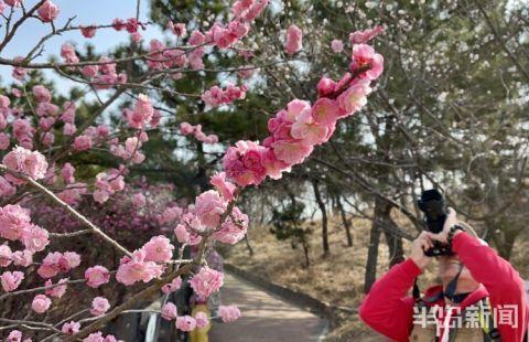 十梅庵今日最新爆料,今日最新爆料揭示惊人内幕 第2张 十梅庵今日最新爆料,今日最新爆料揭示惊人内幕 第2张