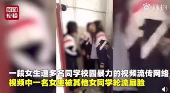 宰羊少女爆料视频大全集,视频大全集深度解析  第1张